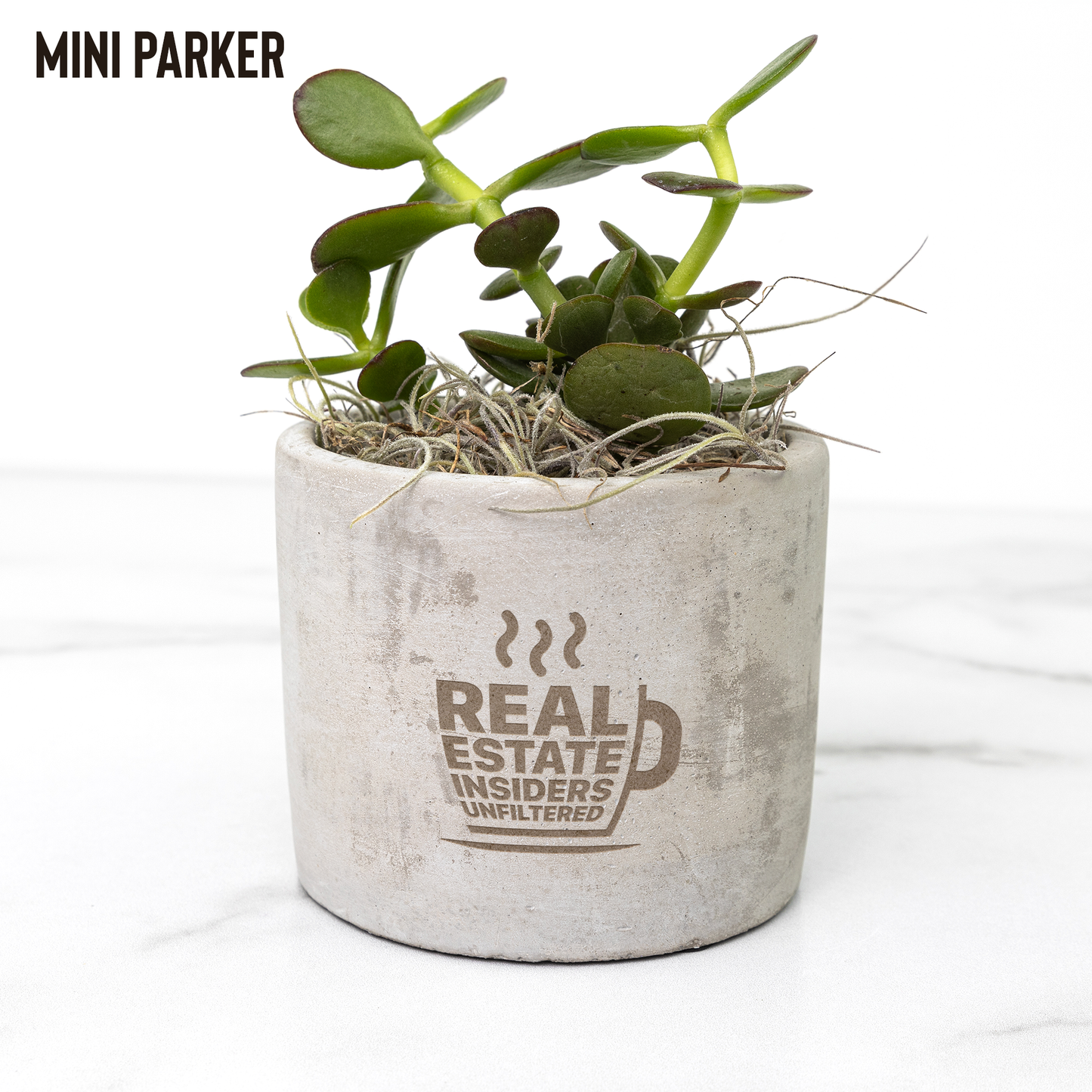 Insiders_Desk_Plant_Parker_Mockup_Mockup.png