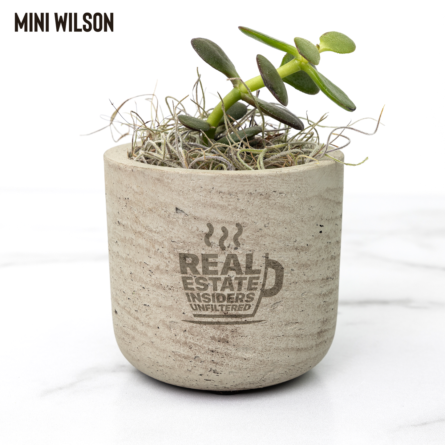 Insiders_Desk_Plant_Wilson_Mockup_Mockup.png