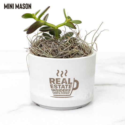 Insiders_Desk_Plant_Mason_Mockup_Mockup.png